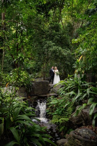 Groom and bride framed by the vibrant greenery of Mt Coot-tha Botanic Gardens
